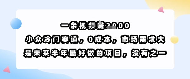一条视频挣1k，小众冷门赛道，0成本，市场需求大，是未来半年最好做的项目，没有之一-卓别林资源社