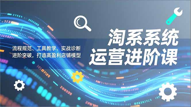 淘系系统运营进阶课2.0，流程规范、工具教学、实战诊断，进阶突破，打造高盈利店铺模型-卓别林资源社