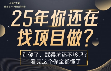 25年，你还在疯狂的找项目吗？别傻了，看完这个你都懂了【揭秘】-卓别林资源社