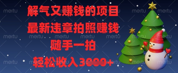 解气又挣钱的项目，最新违章拍照挣钱，随手一拍，轻松收入数张【揭秘】-卓别林资源社