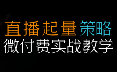 半野老师·直播带货起量与微付费必学课视频号-卓别林资源社