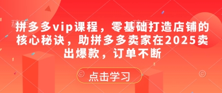 拼多多vip课程，零基础打造店铺的核心秘诀，助拼多多卖家在2025卖出爆款，订单不断-卓别林资源社