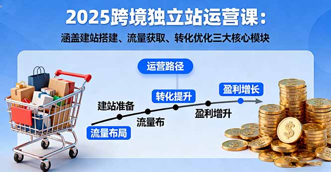 2025跨境独立站运营课：涵盖建站搭建、流量获取、转化优化三大核心模块-卓别林资源社