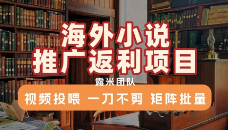 海外小说推广返利项目，视频投喂， 一刀不剪，矩阵批量-卓别林资源社