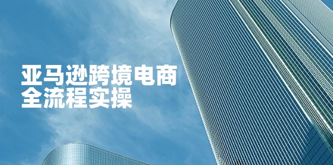 亚马逊跨境电商全流程实操，教你从零开始，掌握店铺运营与广告技巧-卓别林资源社