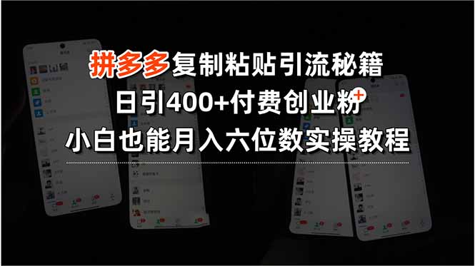 拼多多复制粘贴引流秘籍，日引400+付费创业粉，小白也能月入六位数实操…-卓别林资源社