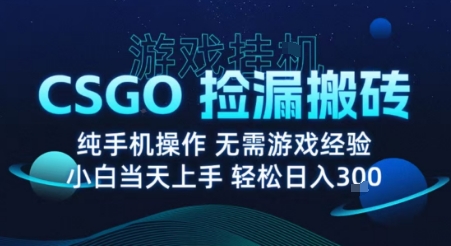 8月最新游戏搬砖，CSGO纯挂G，不需要玩游戏，实现真挂G，月入1W+【揭秘】-卓别林资源社