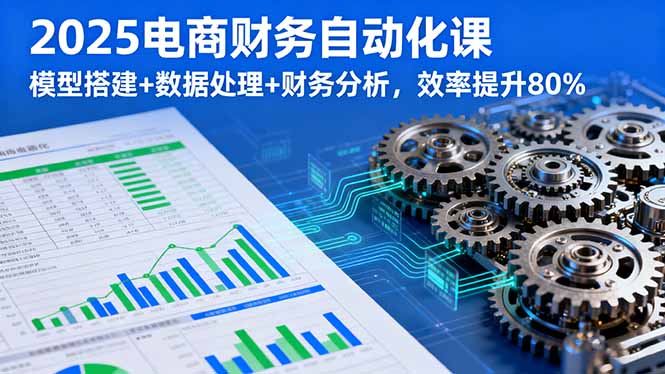2025电商财务自动化课，模型搭建+数据处理+财务分析，效率提升80%-卓别林资源社