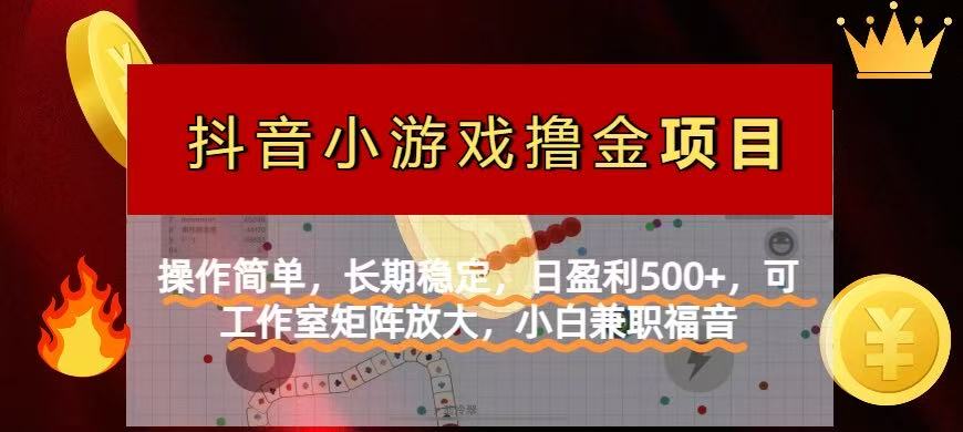 【抖音小游戏发行人计划项目】操作简单，长期稳定，日盈利500+，可工作…-卓别林资源社