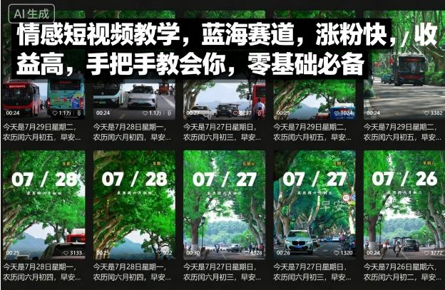 情感短视频教学，蓝海赛道，涨粉快，收益高，手把手教会你，零基础必备-卓别林资源社