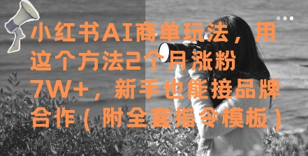 小红书AI商单玩法，用这个方法2个月涨粉7W+，新手也能接品牌合作(附全套指令模板)-卓别林资源社