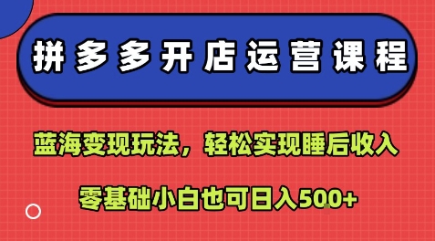 拼多多开店运营课程：蓝海变现玩法，轻松实现睡后收入，零基础小白也可日入5张-卓别林资源社