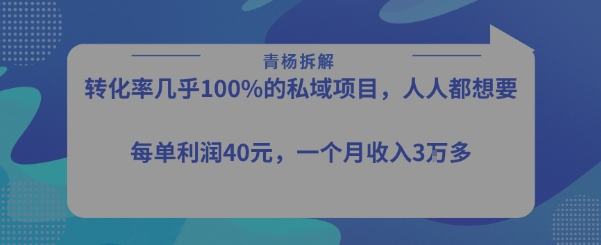 转化率最高的私域项目，每单利润40-50米，月入过1w-卓别林资源社