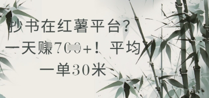 抄书在小红薯平台？平均一单30米，一天收益几张！-卓别林资源社