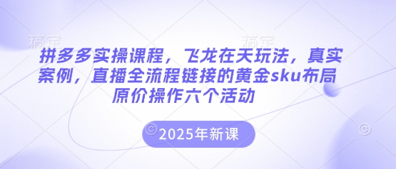 拼多多实操课程，飞龙在天玩法，真实案例，直播全流程链接的黄金sku布局原价操作六个活动-卓别林资源社