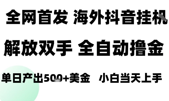 海外抖音无人直播，单日产出1.5k+，长期稳定，新手可玩，无脑操作【揭秘】-卓别林资源社