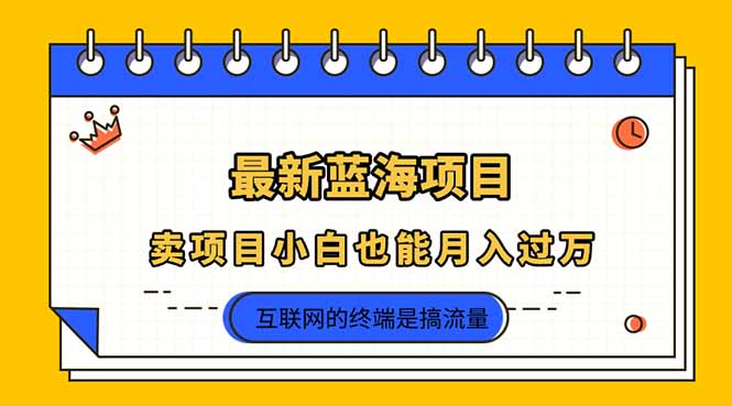 2025年最新蓝海项目，卖项目小白也能月入过万-卓别林资源社