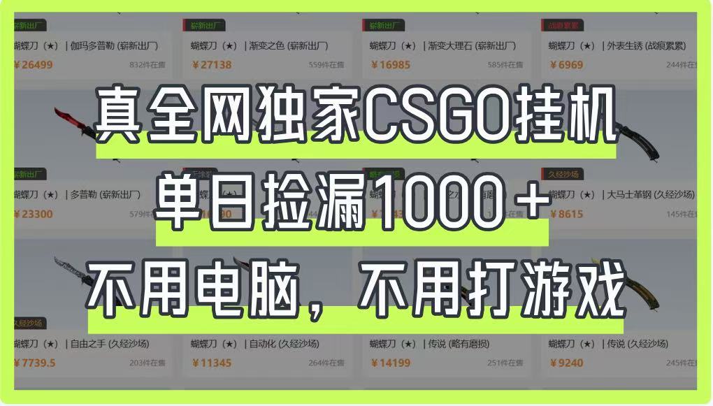 真全网独家CSGO挂机，单日捡漏1000+，不用电脑，不用养号-卓别林资源社