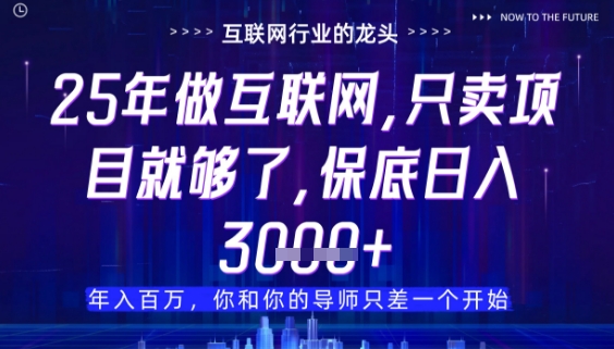 什么！25年你还在找项目做？风口早就变了，卖项目才是稳挣不赔【揭秘】-卓别林资源社