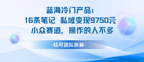 蓝海项目：16条笔记私域变现9750米小众赛道操作的人不多-卓别林资源社