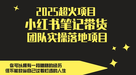 2025超火项目，副业最佳选择，小红书笔记带货团队实操落地项目，，轻松日入5张-卓别林资源社