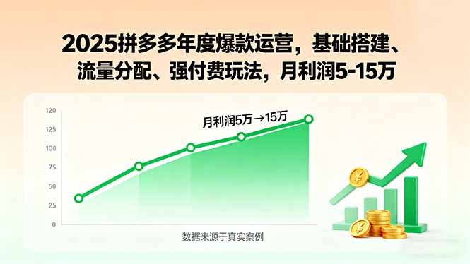 2025拼多多年度爆款运营，基础搭建、流量分配、强付费玩法，月利润5-15万-卓别林资源社