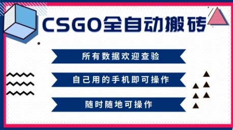 CSGO全自动搬砖，年底钱回家好项目，当天可拿到结果，新手小白轻松月入1W+【揭秘】-卓别林资源社
