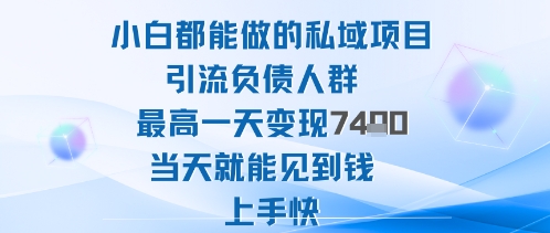 2025年小白都能做的私域项目引流负债人群最高一天变现1k+高变现难度低当天就能见到钱上手快-卓别林资源社
