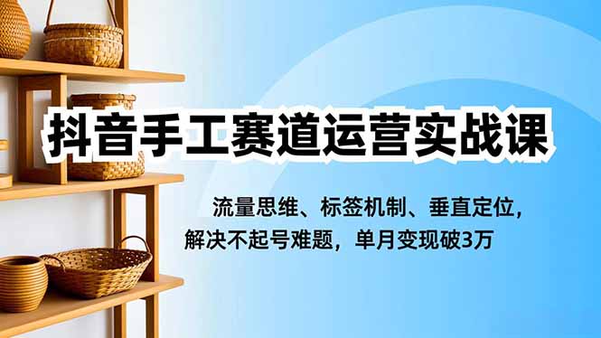 抖音手工赛道运营实战课，流量思维、标签机制、垂直定位，解决不起号难题，单月变现破3万-卓别林资源社