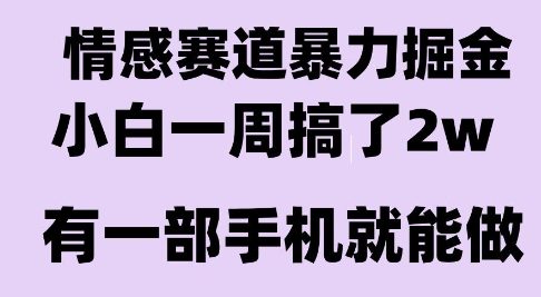 情感暴力掘金项目，新人操作一周挣了2W，长期稳定小白可做【揭秘】-卓别林资源社