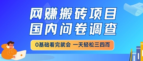 网创搬砖项目，国内问卷调查，小白轻松上手，一天三四张的也不难，干就完了【揭秘】-卓别林资源社