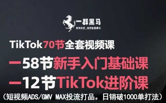 TikTok全套视频课，新手入门+进阶课，短视频ADS-GMV MAX投流打品，日销破1000单打法-卓别林资源社