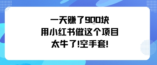 一天挣了9张用小红书做这个项目太牛了，空手套-卓别林资源社