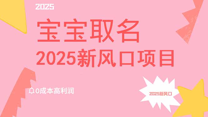 2025新风口项目宝宝取名，0成本高利润，附保姆级教程，月入过万不是梦-卓别林资源社