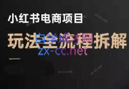 菲菲老师·小红书电商玩法(更新7月)-卓别林资源社