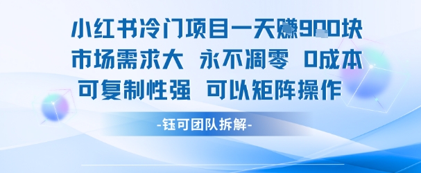 小红书冷门项目一天收益9张，市场需求大，0成本，可复制性强可以矩阵操作-卓别林资源社