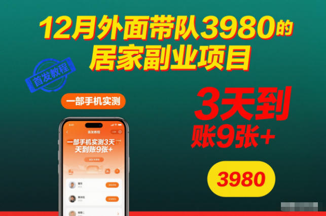 12月外面带队3980的居家副业项目，一部手机实测3天到账9张+，首发教程【揭秘】-卓别林资源社