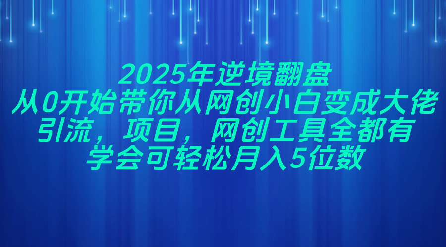 2025年逆境翻盘，从0开始带你从网创小白变成大佬，引流，项目，网创工…-卓别林资源社