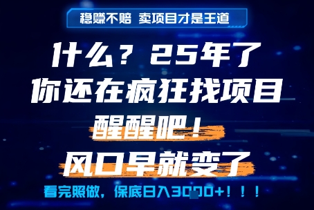 什么？25年你还在疯狂找项目做，醒醒吧，看完这些你全都懂了！【揭秘】-卓别林资源社