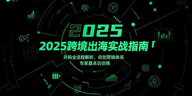 2025跨境出海实战指南，并购全流程解析，自创营销体系，专家基本功训练-卓别林资源社