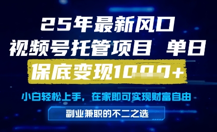 25年最新风口，视频号托管项目，单日保底变现1k+，手把手教学【揭秘】-卓别林资源社