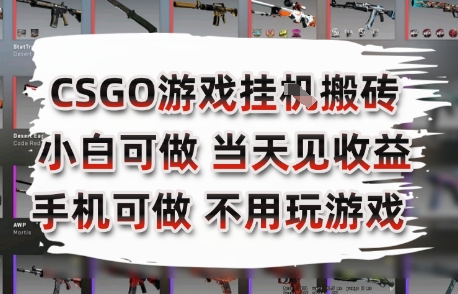 CSGO游戏挂G搬砖，小白纯手机即可操作，不用电脑打游戏，日入3张+，副业网创项目【揭秘】-卓别林资源社