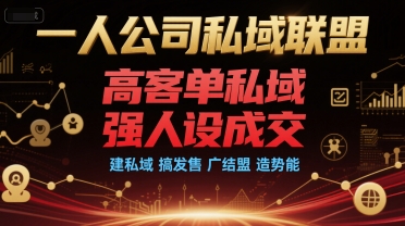 一人公司私域联盟，高客单私域，强人设成交，建私域 搞发售 广结盟 造势能-卓别林资源社