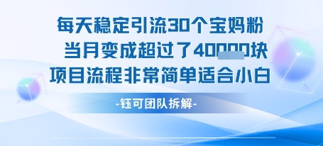 每天稳定引流30个人 当月变成超过了4个W项目流程非常简单适合小白-卓别林资源社