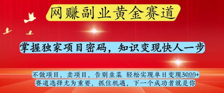网创副业黄全赛道，掌握独家项目密码，知识变现快人一步，告别韭菜轻松实现单日变现1k+【揭秘】-卓别林资源社