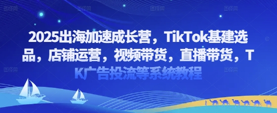 2025出海加速成长营，TikTok基建选品，店铺运营，视频带货，直播带货，TK广告投流等系统教程-卓别林资源社