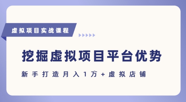 抓住虚拟项目各平台优势，新手轻松月入1W+(给出具体建议)-卓别林资源社