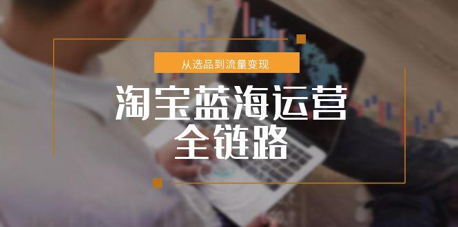 淘宝蓝海运营全链路，从选品到流量变现，小类目突围完整方案-卓别林资源社