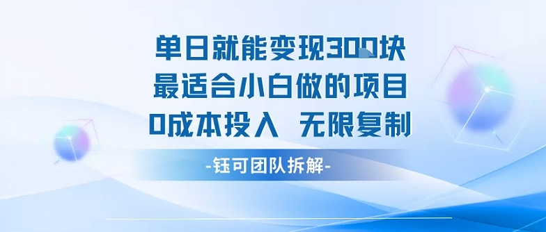 单日就能变现3张最适合小白做的项目0成本投入 无限复制-卓别林资源社