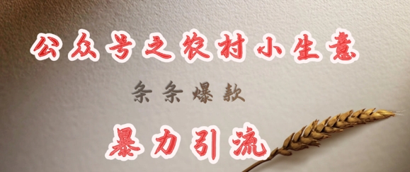 deepseek写农村小项目，条条爆款，暴力引流-卓别林资源社